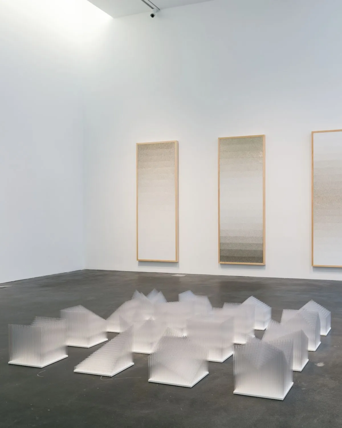 Tara Donovan: Fieldwork